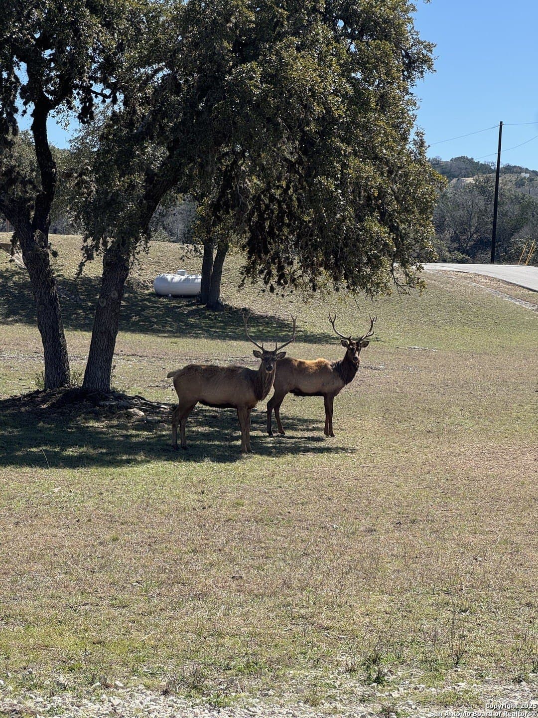 0 acres in Bandera County - photo 17