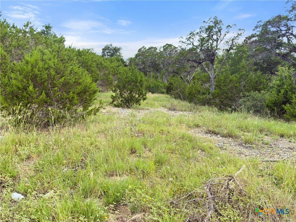 1.44 acres in Comal County - photo 9