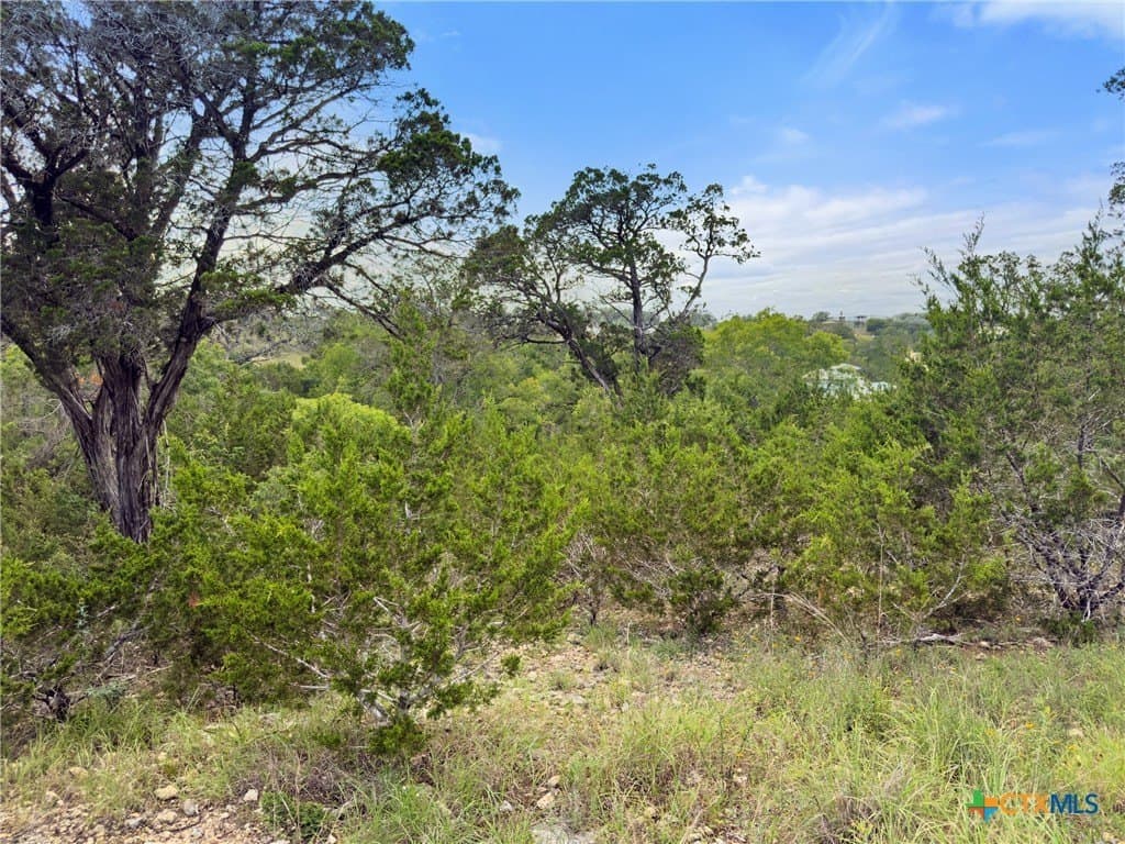 1.44 acres in Comal County - photo 4
