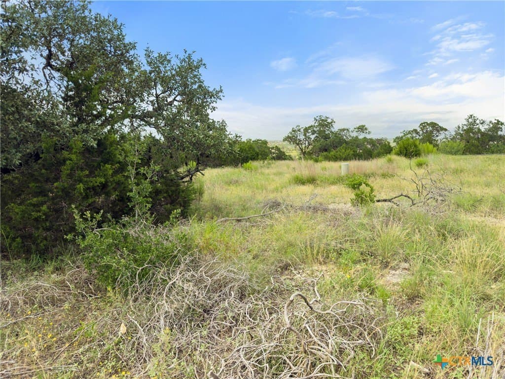1.44 acres in Comal County - photo 10