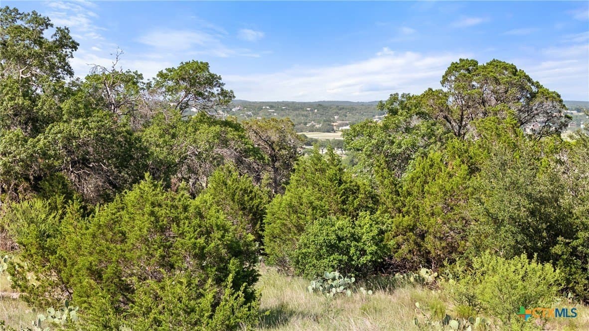 1.44 acres in Comal County - photo 2