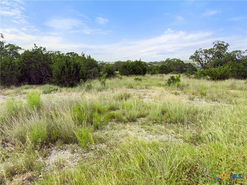 1.44 acres in Comal County - photo 13