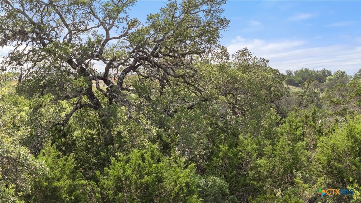 1.44 acres in Comal County - photo 3