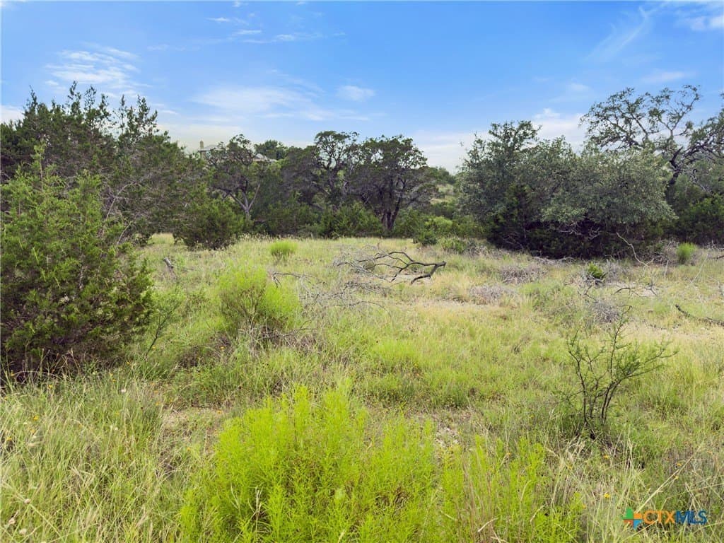 1.44 acres in Comal County - photo 5