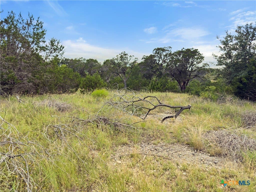 1.44 acres in Comal County - photo 6