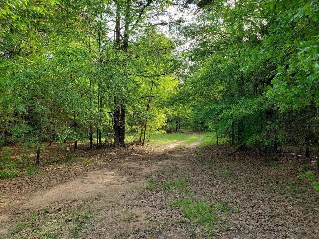 1070 Piney Grove