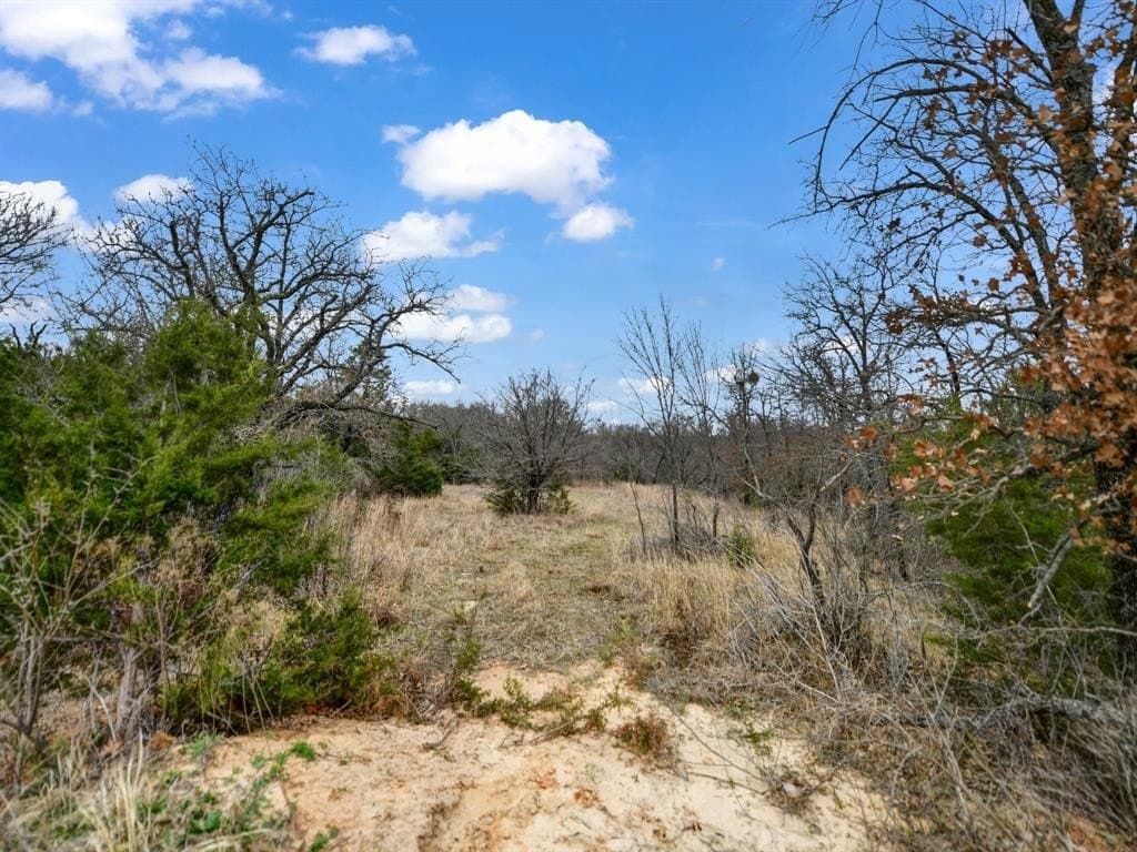 11 acres in Parker County - photo 2