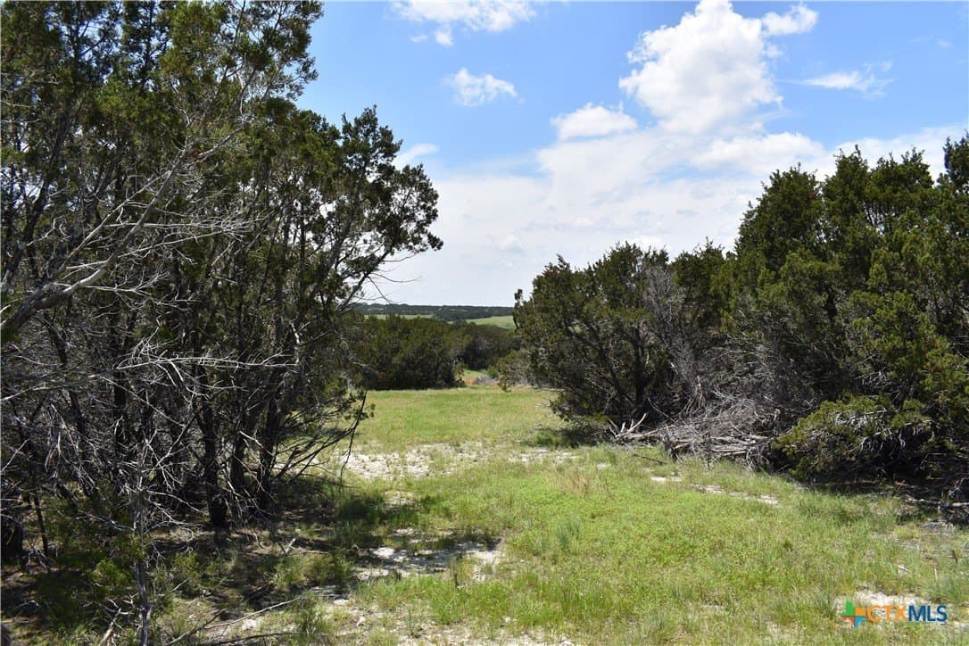 10.74 acres in Burnet County - photo 2
