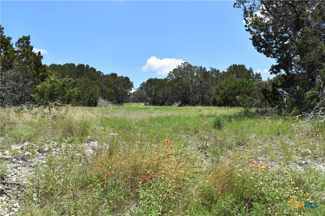 10.74 acres in Burnet County - photo 10