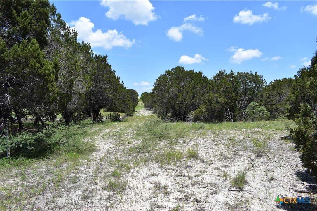 10.74 acres in Burnet County - photo 7
