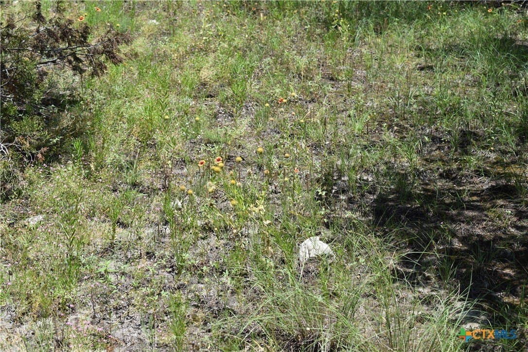 10.74 acres in Burnet County - photo 12
