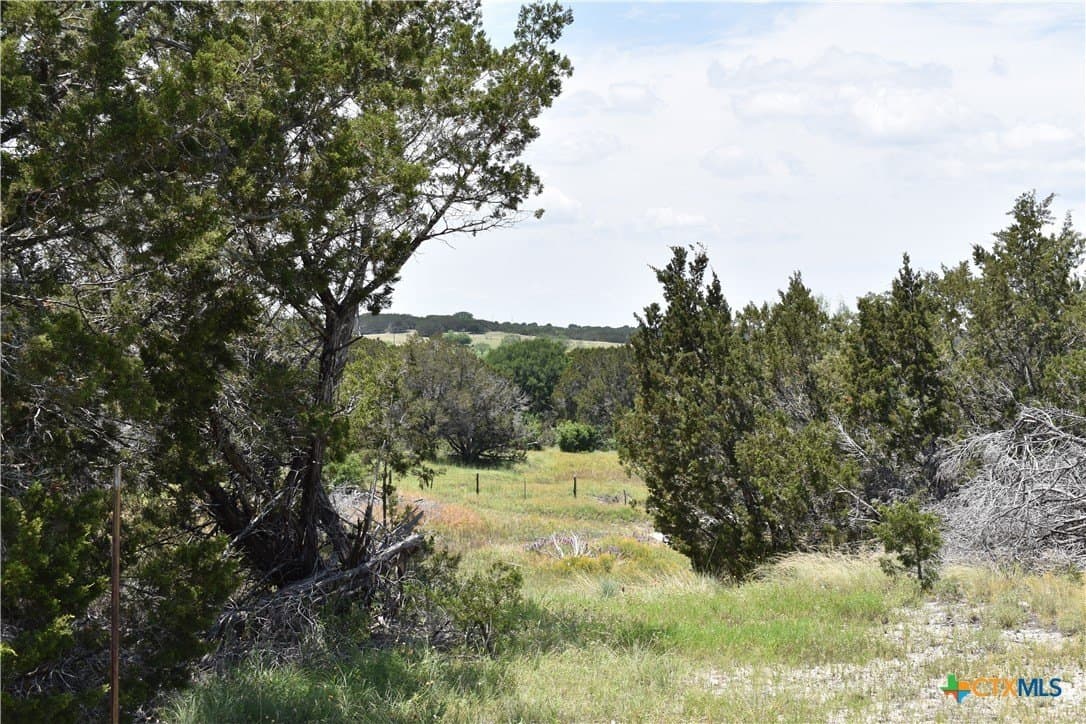 10.74 acres in Burnet County - photo 11