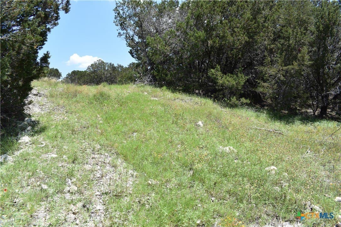 10.74 acres in Burnet County - photo 9