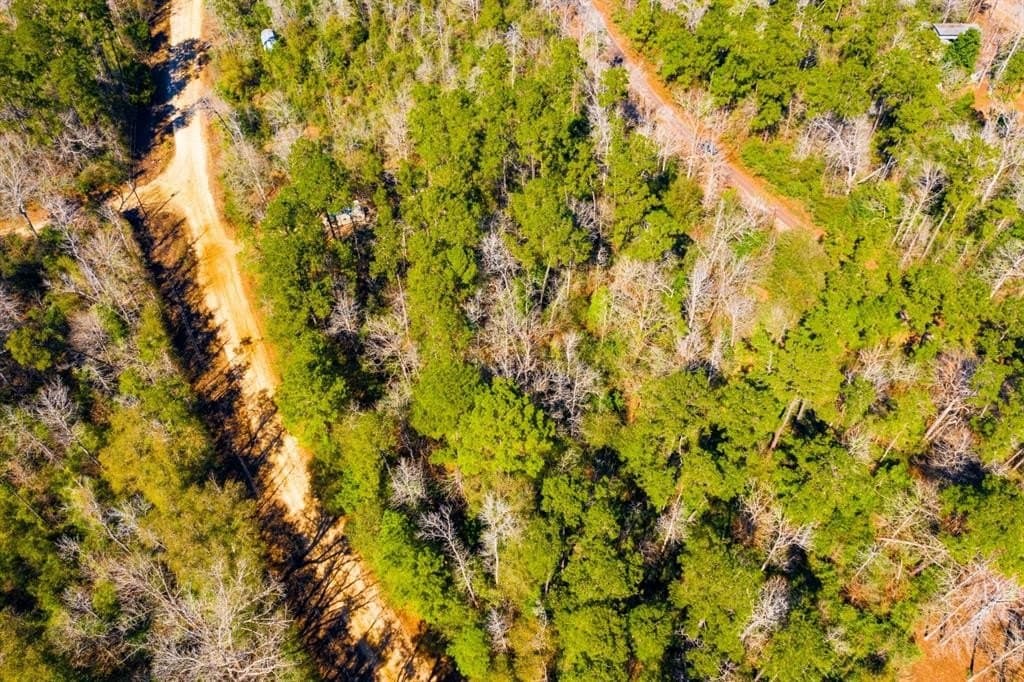 0.31 acres in Tyler County - photo 11