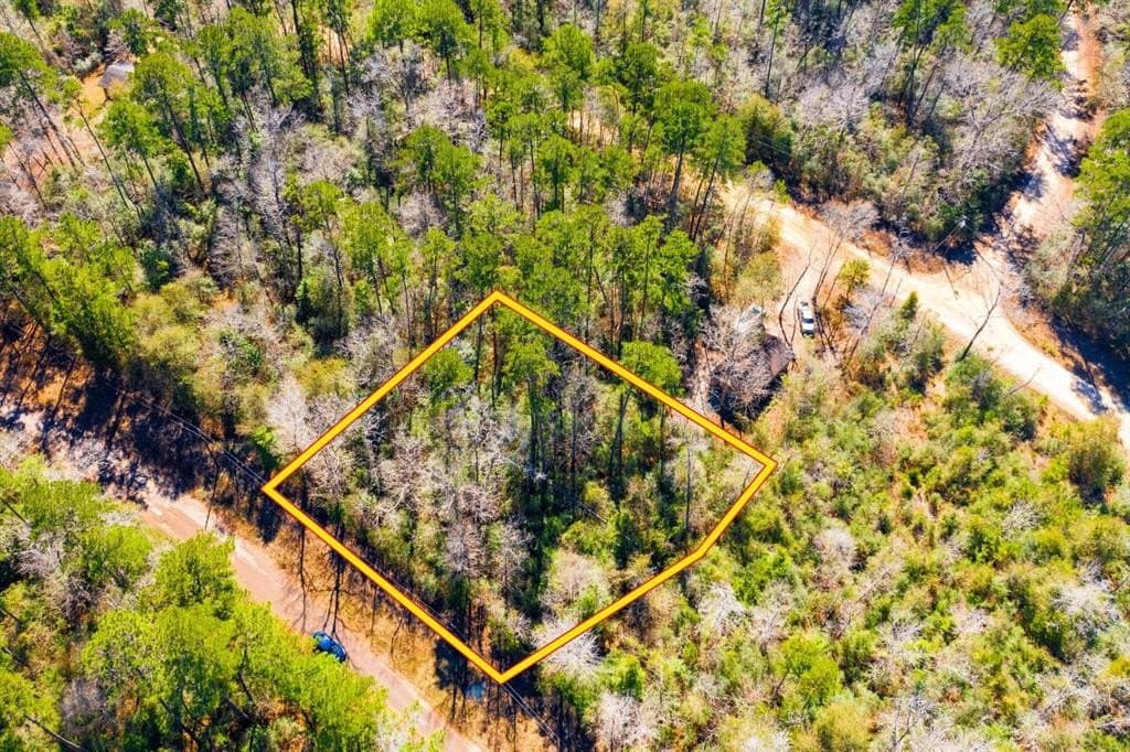 0.31 acres in Tyler County - photo 8