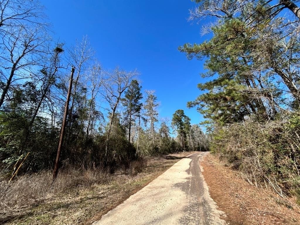 0.31 acres in Tyler County - photo 3