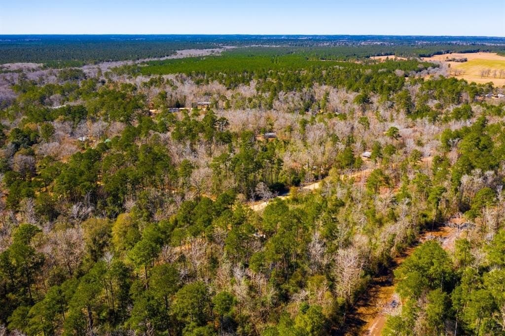 0.31 acres in Tyler County - photo 14