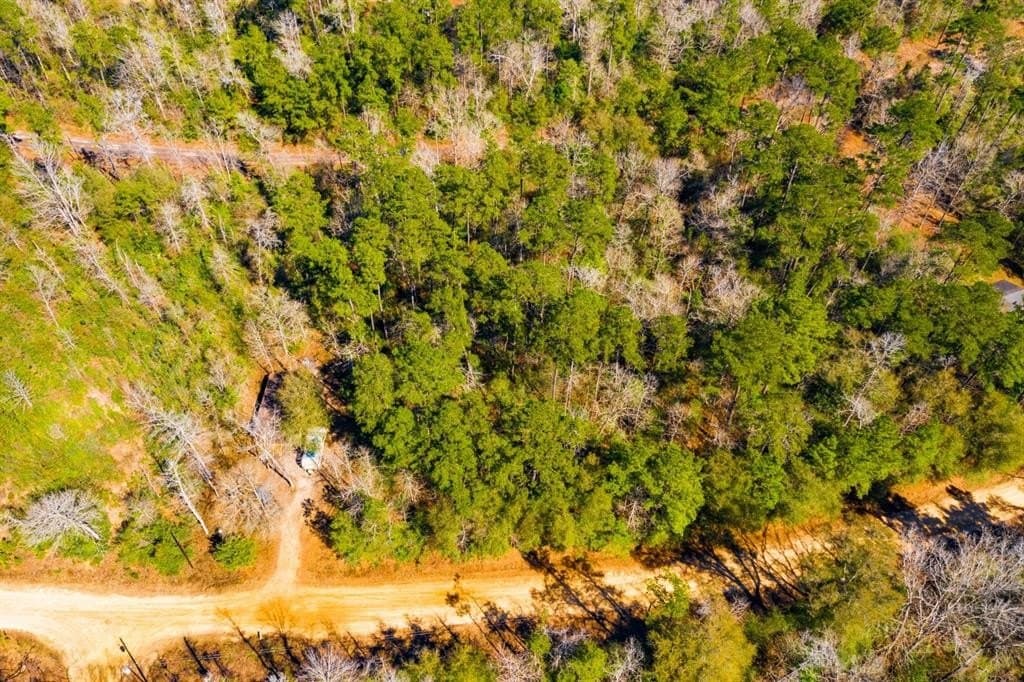 0.31 acres in Tyler County - photo 10