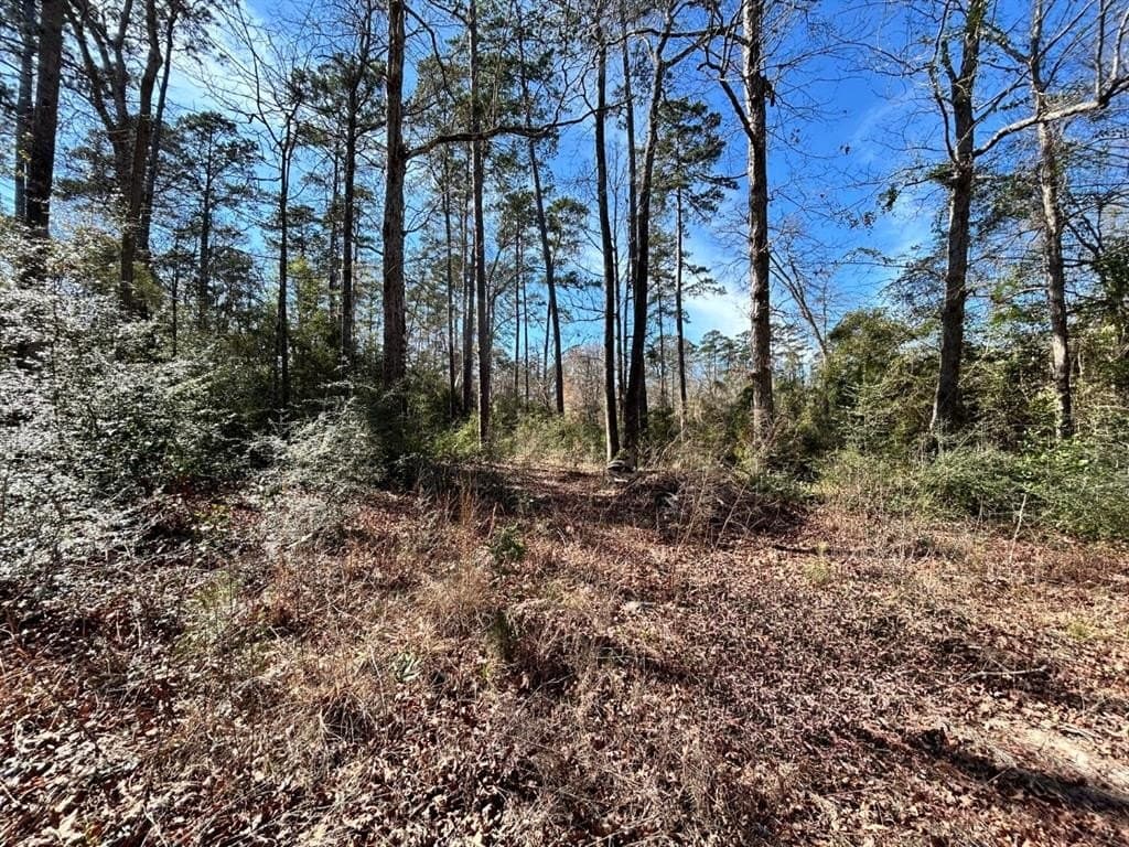 0.31 acres in Tyler County - photo 2