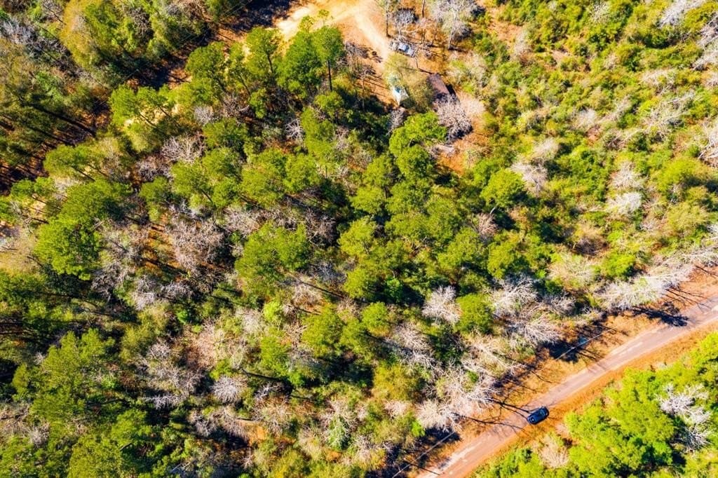 0.31 acres in Tyler County - photo 13