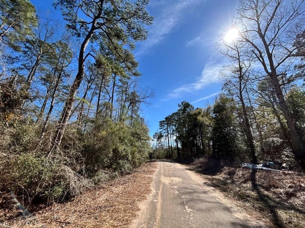 0.31 acres in Tyler County - photo 7