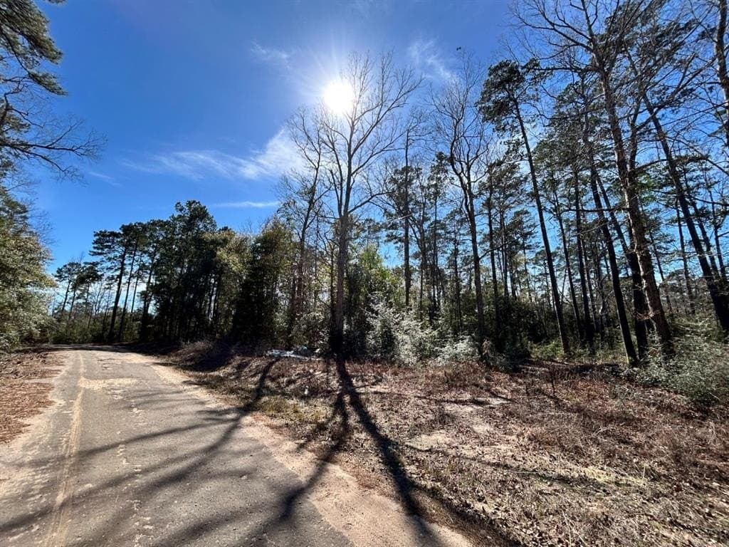 0.31 acres in Tyler County - photo 6