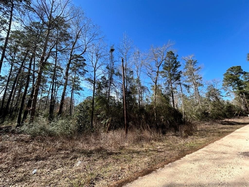 0.31 acres in Tyler County - photo 4