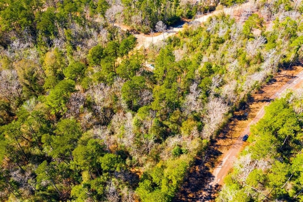 0.31 acres in Tyler County - photo 12
