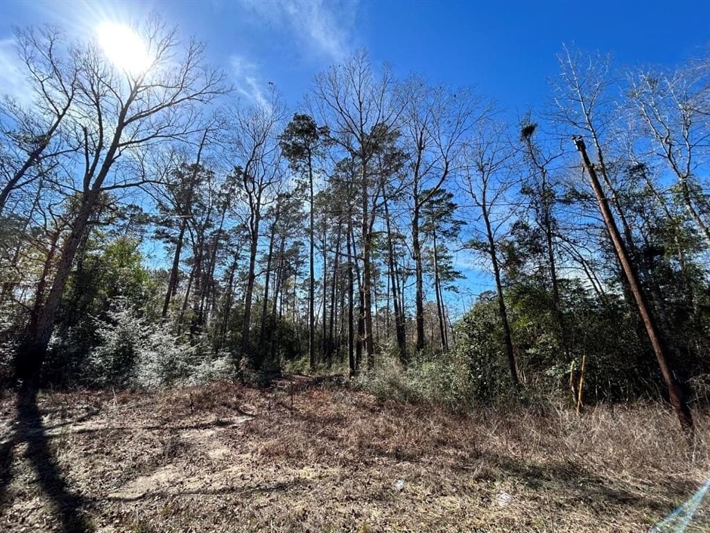 0.31 acres in Tyler County - photo 5