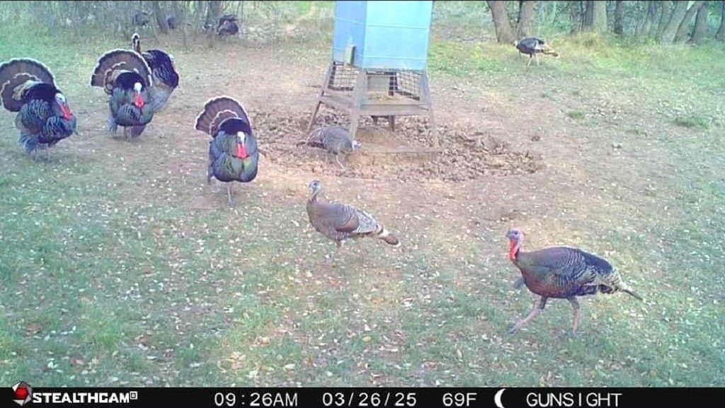 160 acres in Stephens County - photo 25