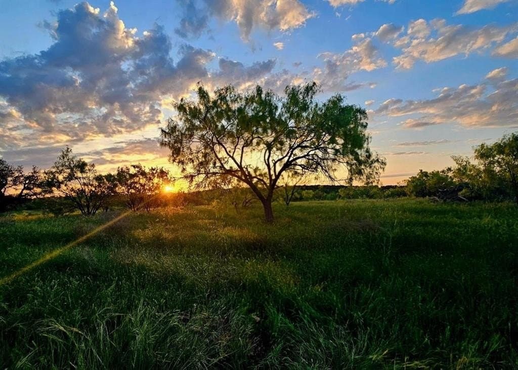 160 acres in Stephens County - photo 10