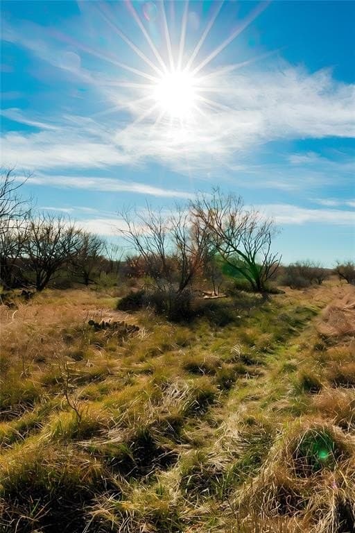 160 acres in Stephens County - photo 35