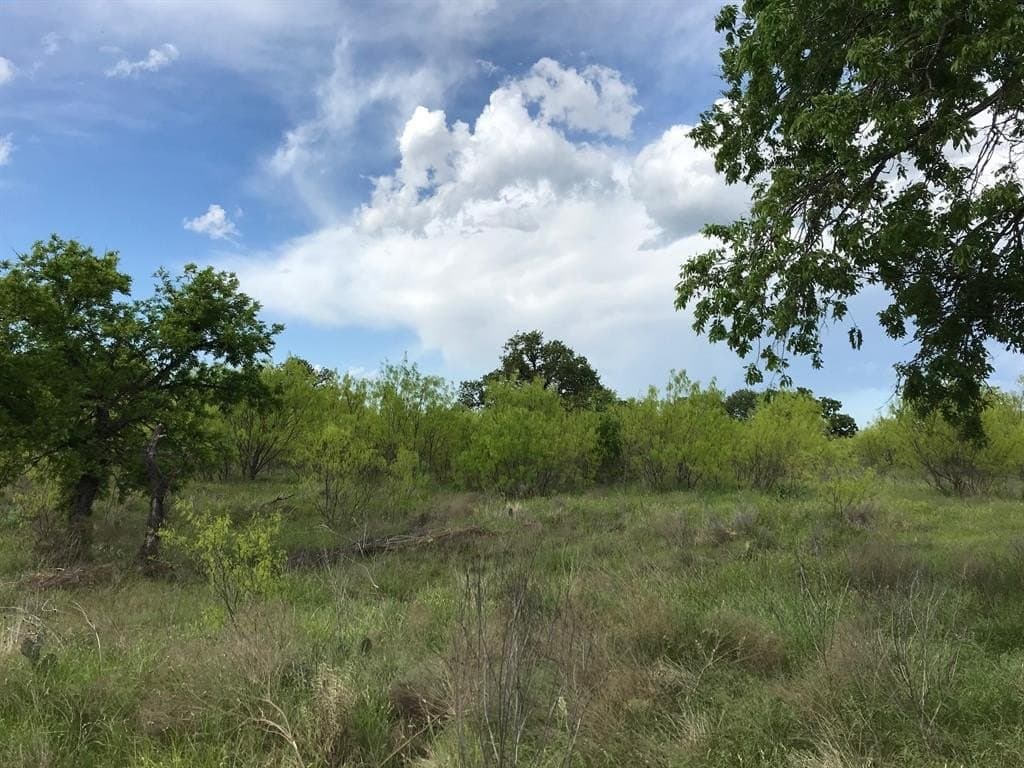 160 acres in Stephens County - photo 13