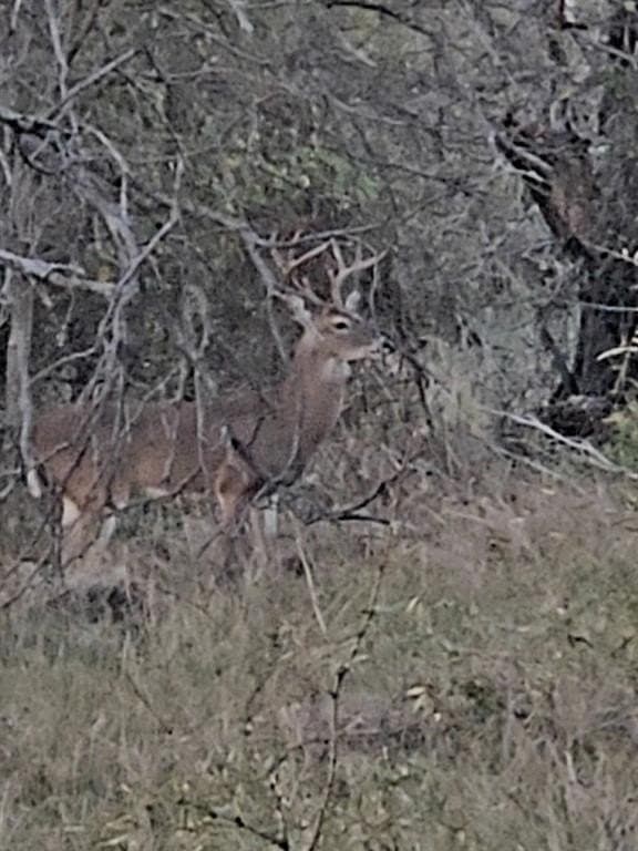 160 acres in Stephens County - photo 4