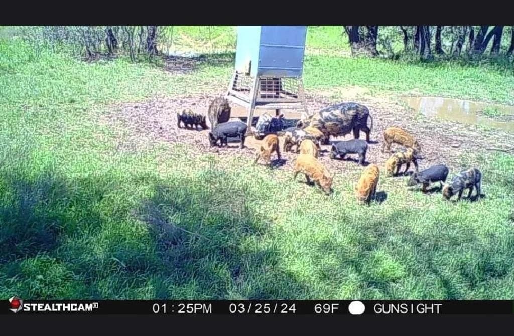 160 acres in Stephens County - photo 6