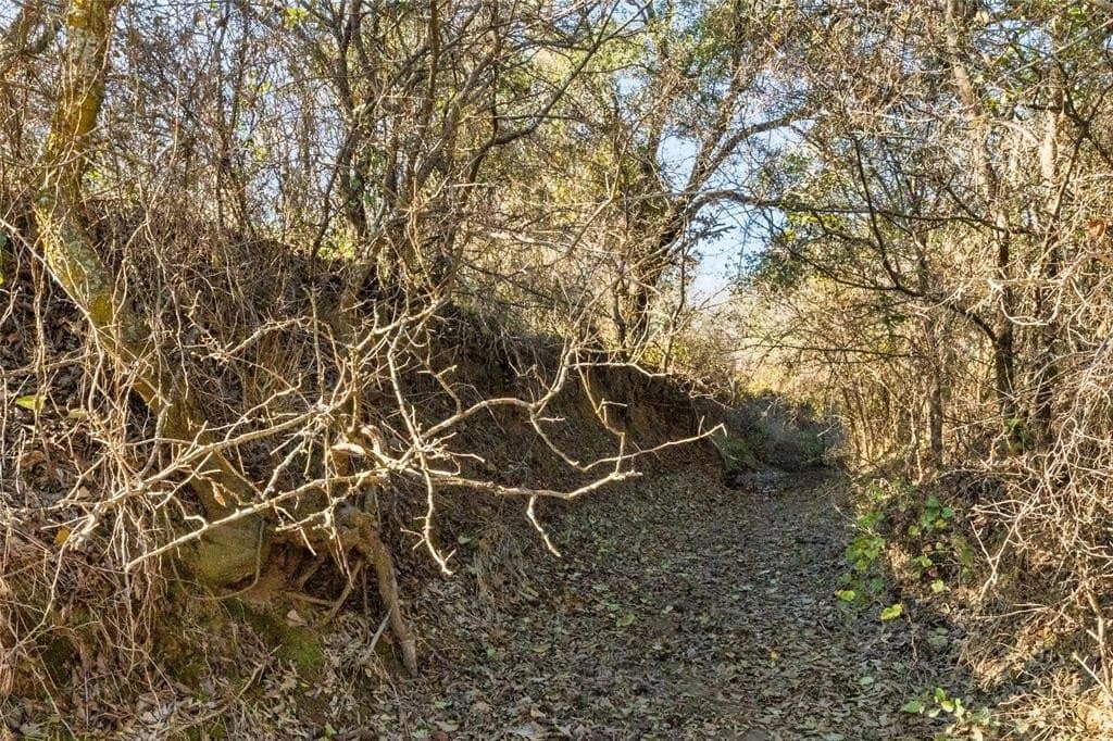 160 acres in Stephens County - photo 28