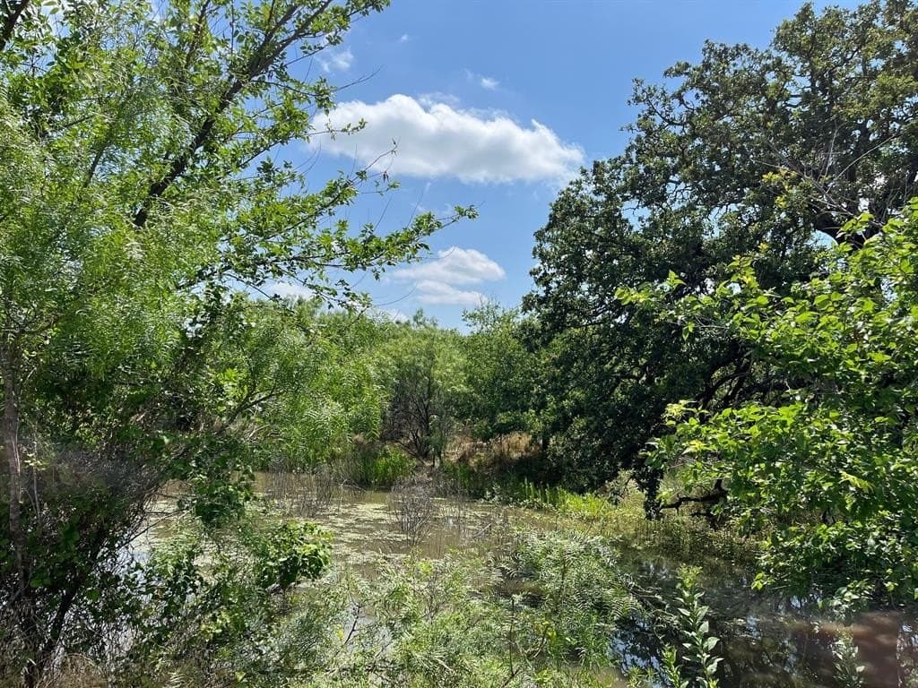 160 acres in Stephens County - photo 23