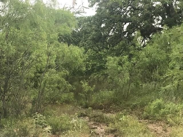 160 acres in Stephens County - photo 15