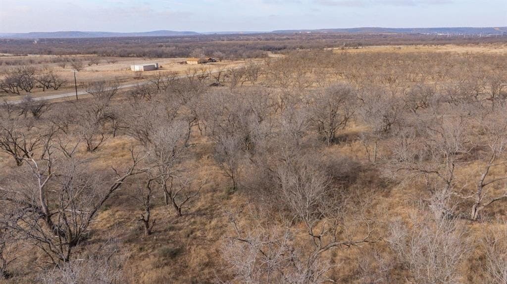 7.77 acres in Shackelford County - photo 8