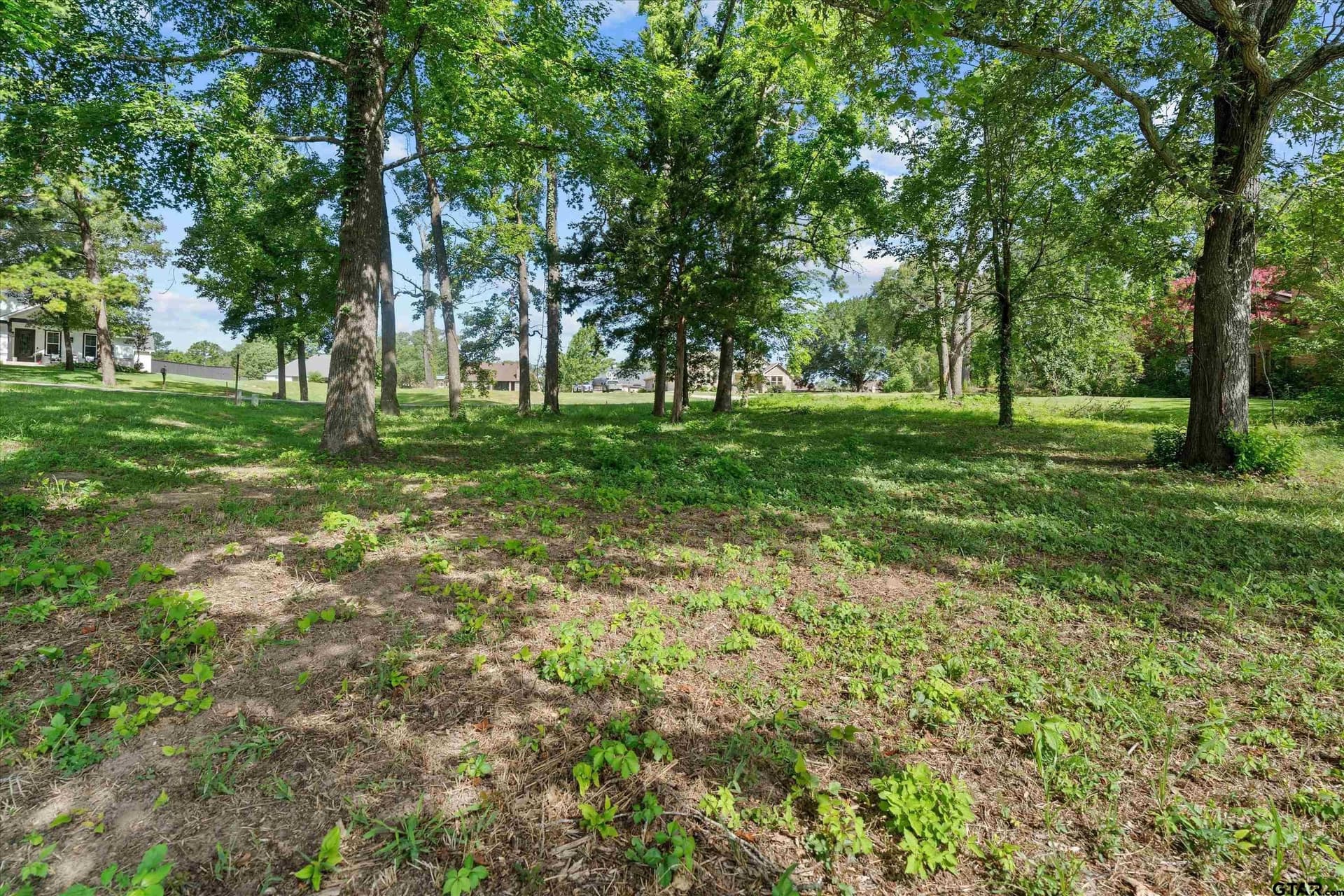 0.36 acres in Smith County - photo 4