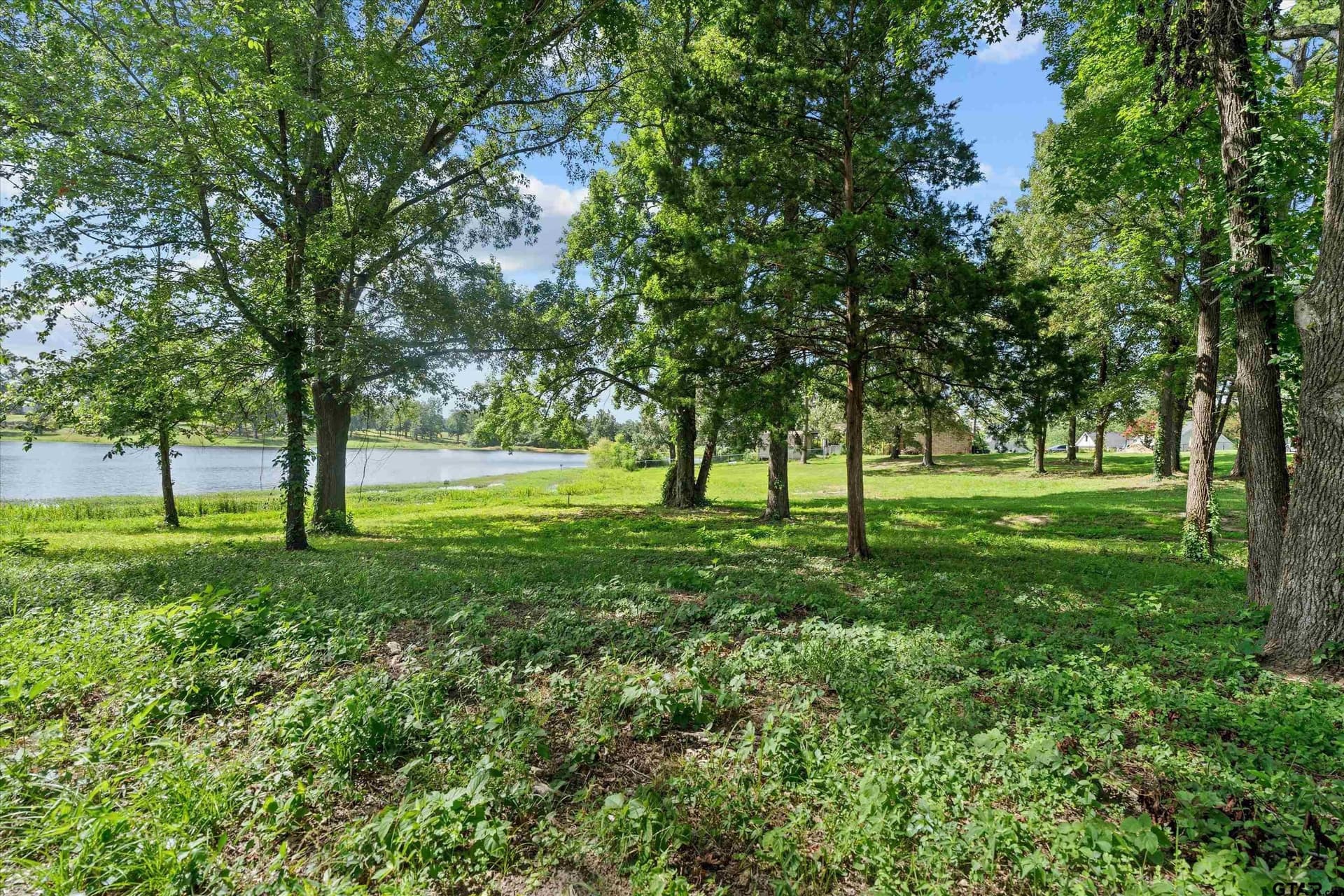 0.36 acres in Smith County - photo 6