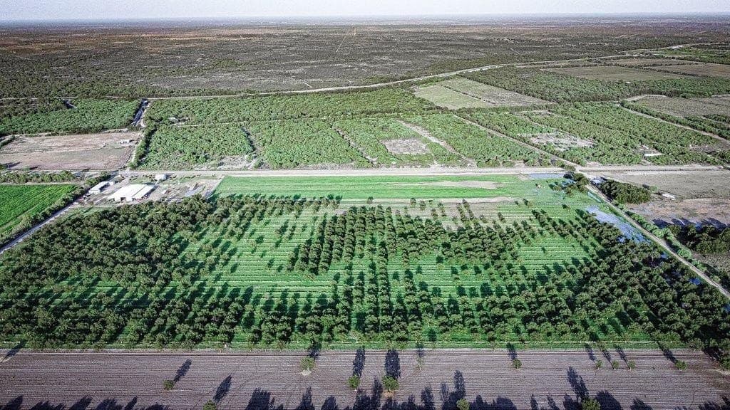 12.88 acres in Maverick County - photo 78