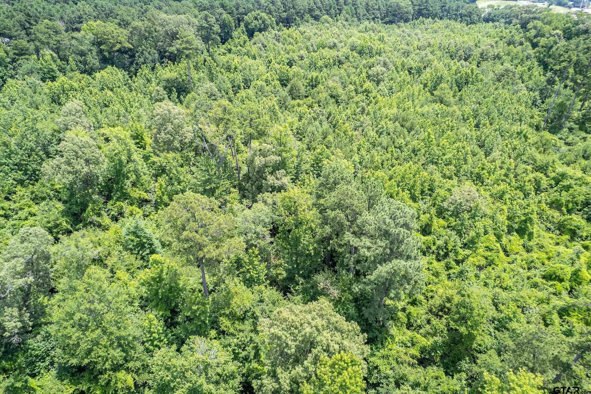 47 acres in Smith County - photo 13