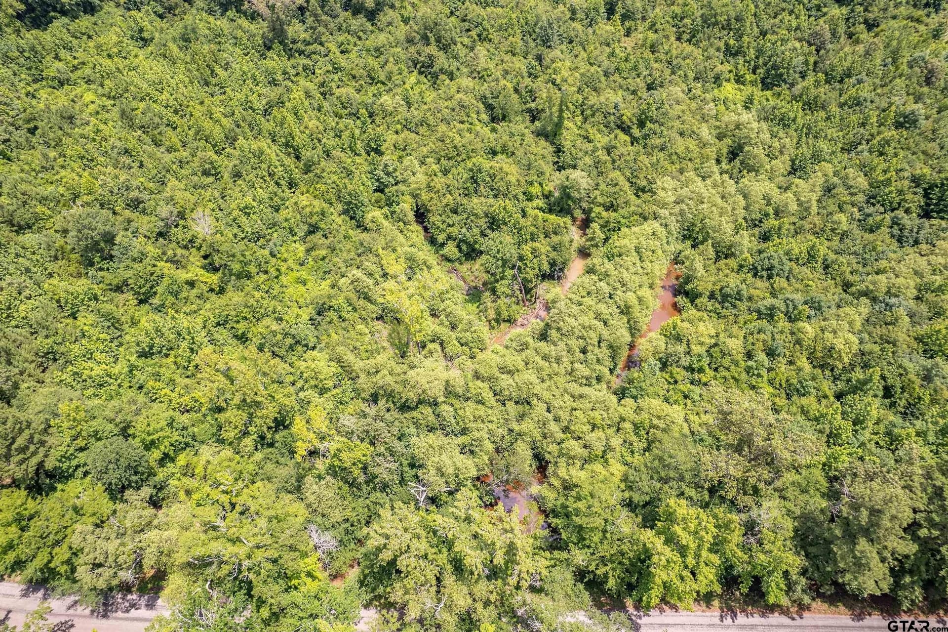 47 acres in Smith County - photo 5