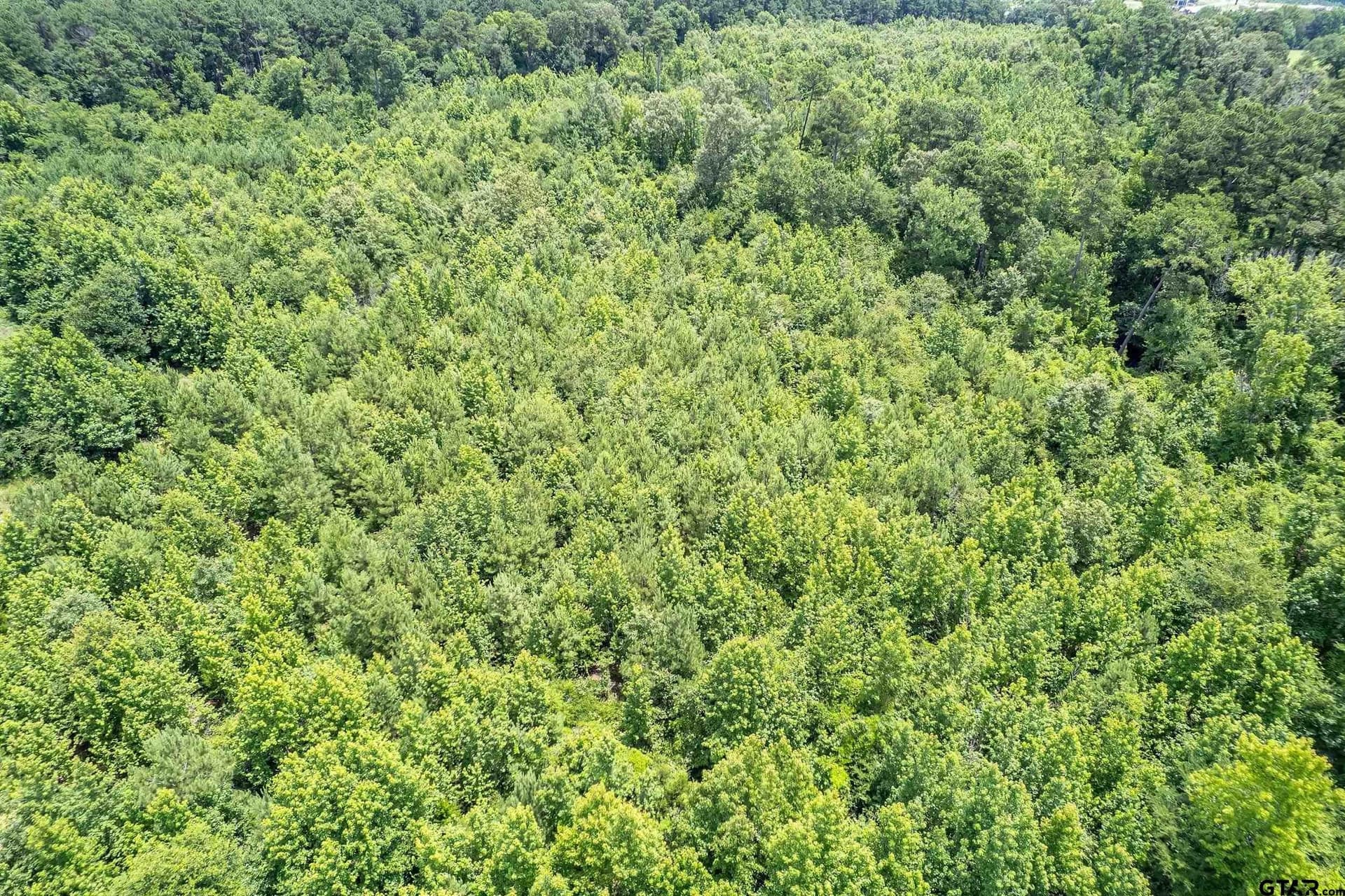 47 acres in Smith County - photo 12