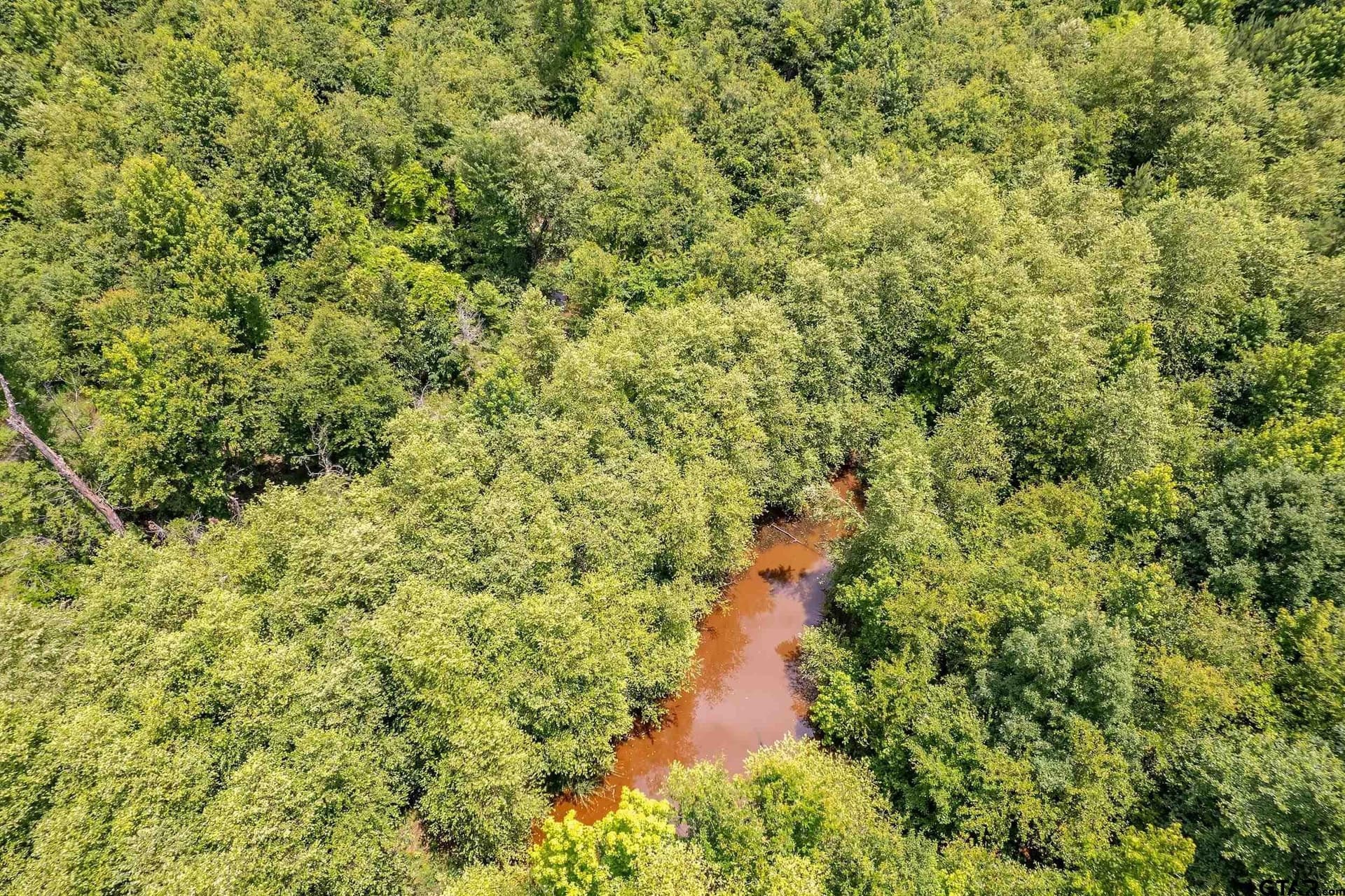 47 acres in Smith County - photo 6