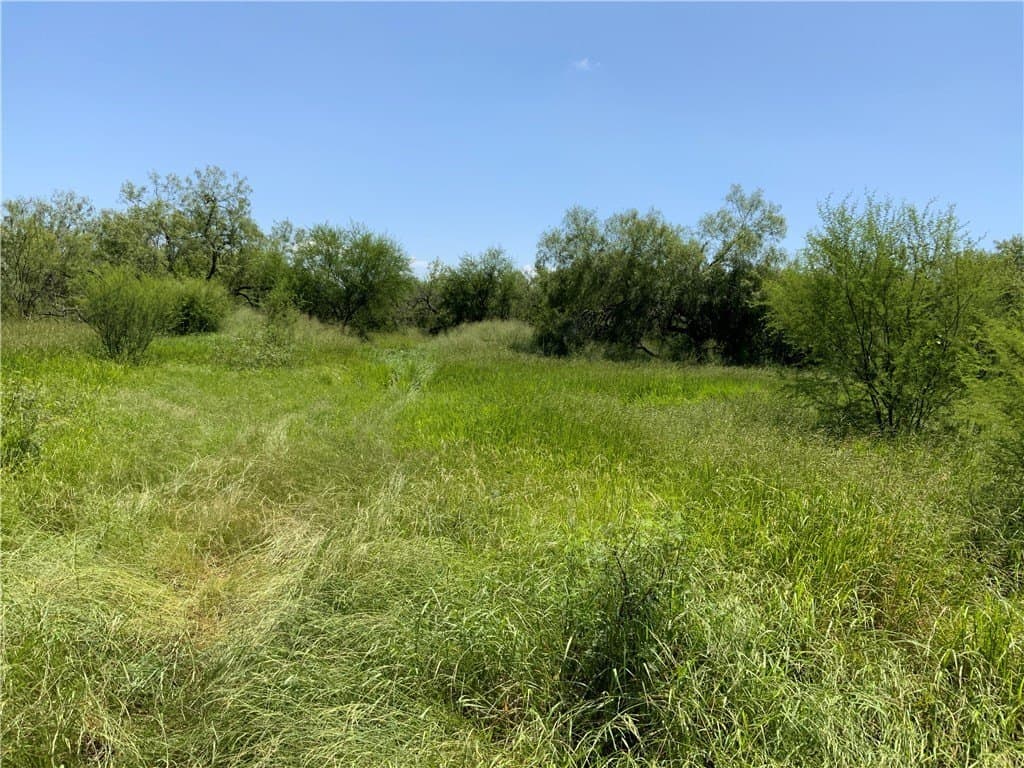 50.94 acres in San Patricio County - photo 15