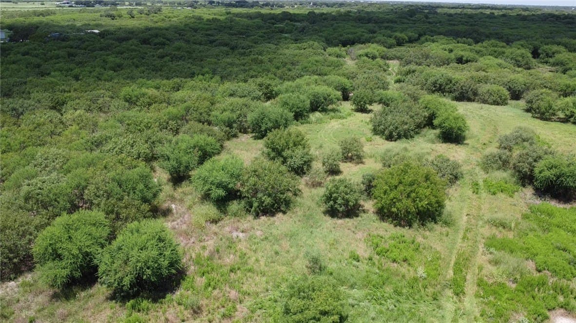 50.94 acres in San Patricio County - photo 19