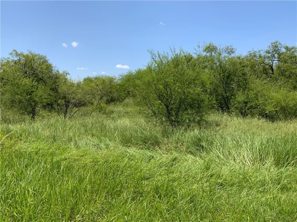 50.94 acres in San Patricio County - photo 17