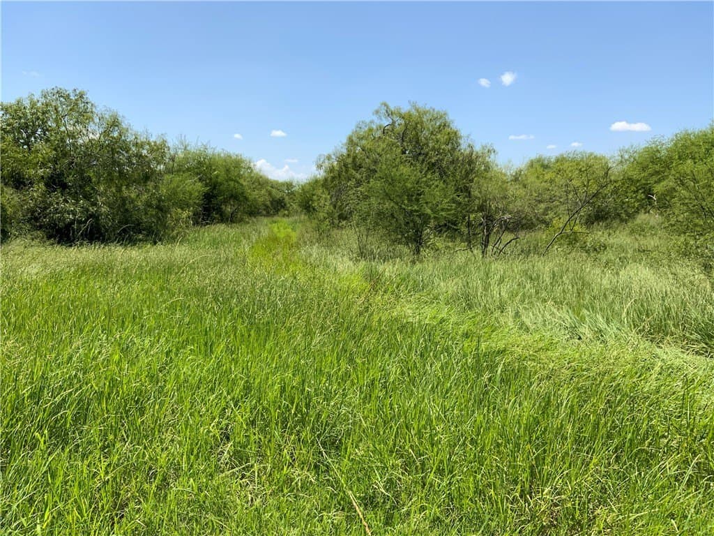 50.94 acres in San Patricio County - photo 16